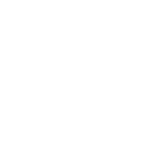 ssangyong